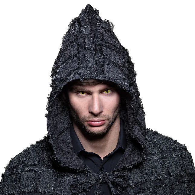 Keltainen väri linssit kissa