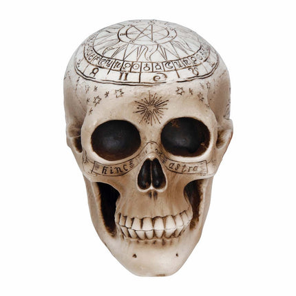 Halloween pöydän koriste Kallo 20cm