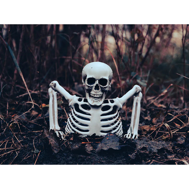 Halloween luuranko 20cm