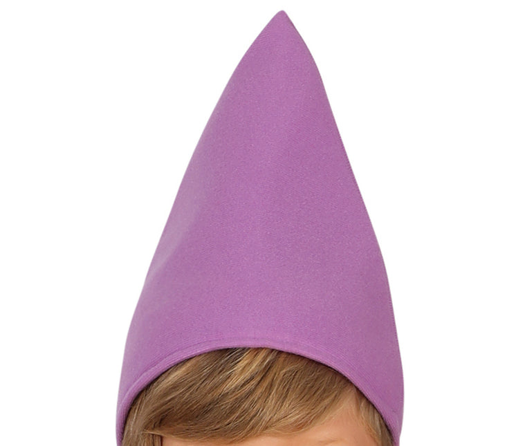 Kääpiö puku poika Gnome