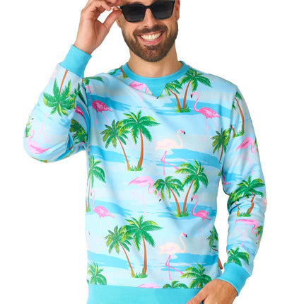 Hawaii Flamingo pusero Miesten OppoSuits