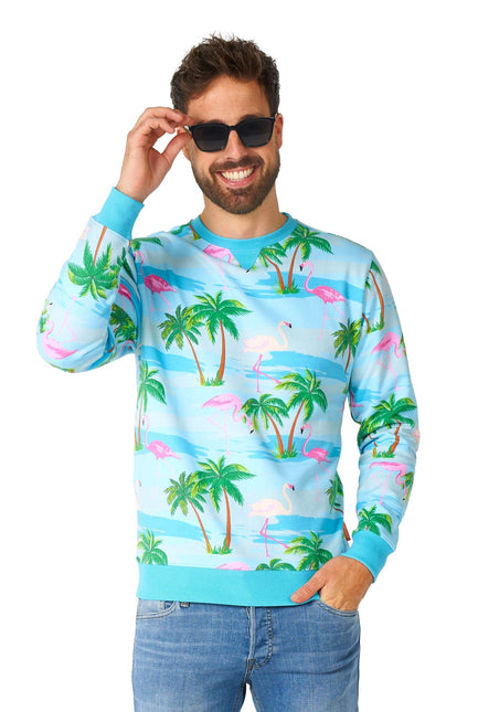 Hawaii Flamingo pusero Miesten OppoSuits