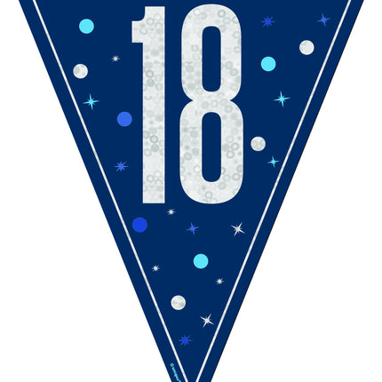 18 vuotta Garland sininen 2.5m