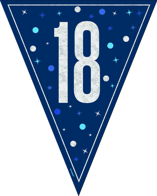 18 vuotta Garland sininen 2.5m