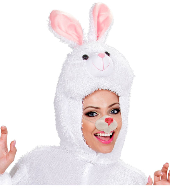 Kani väärennetty nenä