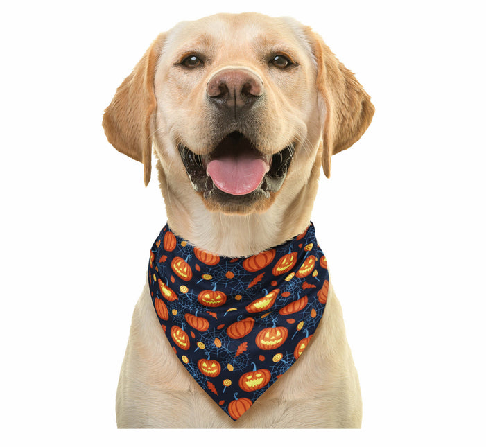 Halloween huivi kurpitsa