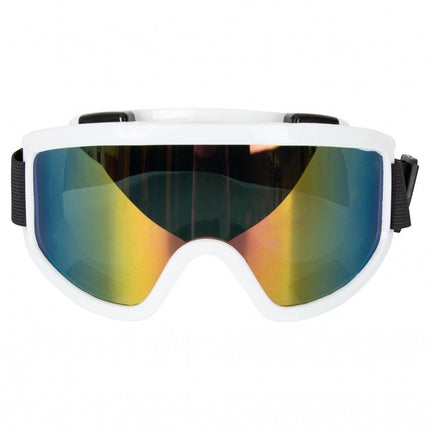 Hiihtolasit Valkoinen