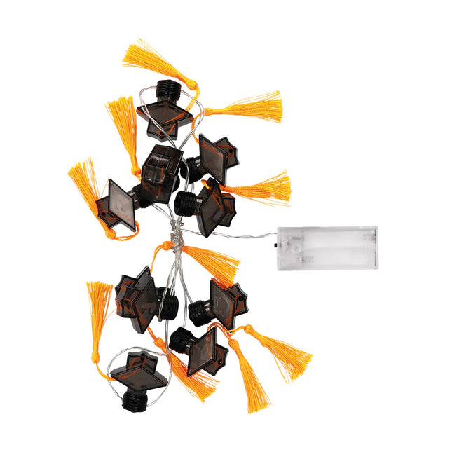 Valokimppu LED Onnistunut 1.4m