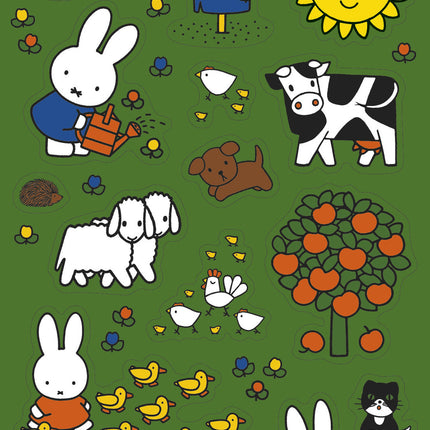 Miffy tarrat