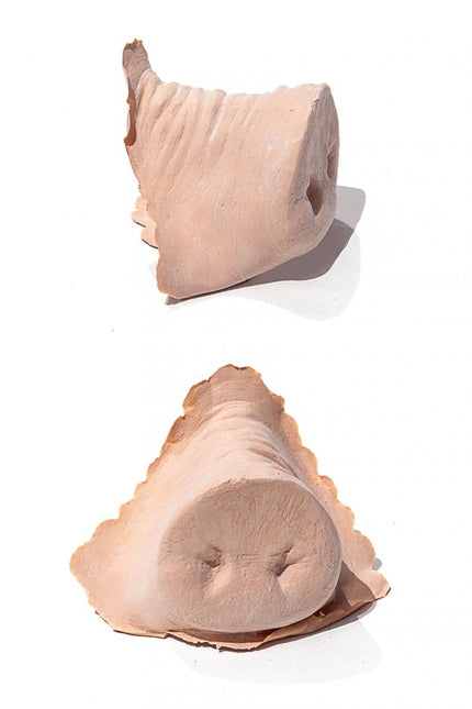 PXP Latex sian nenä