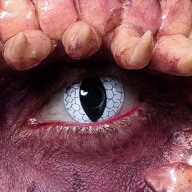 Musta Valkoinen Väri Linssit Lohikäärme