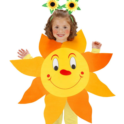 Päänauha auringonkukka