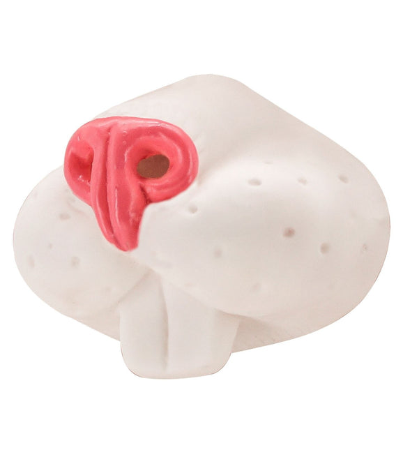 Kani väärennetty nenä