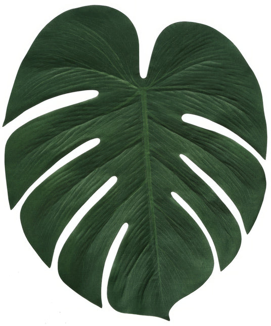 Havaiji koristelu Palm Leaf 34cm 4kpl 4kpl