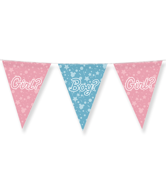 Gender Reveal Slinger Boy Or Girl 10m van Paper Dreams koop je bij Partywinkel
