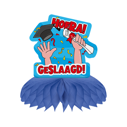 Geslaagd Tafeldecoratie van Paper Dreams koop je bij Partywinkel