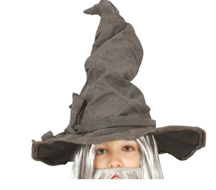Grijze Hoed Tovenaar Kind van Fiestas Guirca koop je bij Partywinkel