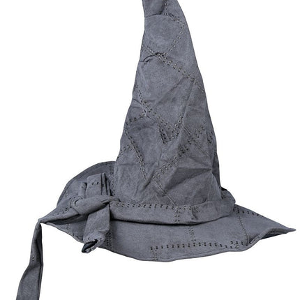 Grijze Hoed Tovenaar Kind van Fiestas Guirca koop je bij Partywinkel