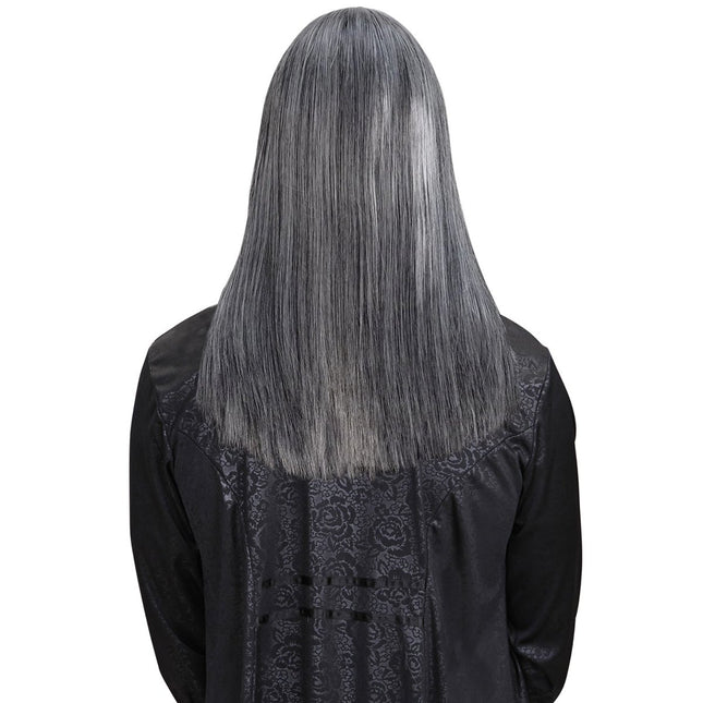 Grijze Pruik Victor van Widmann koop je bij Partywinkel