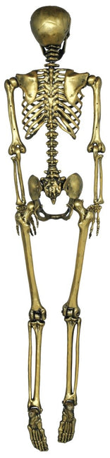 Halloween Goud Skelet 1,6m van Fiestas Guirca koop je bij Partywinkel