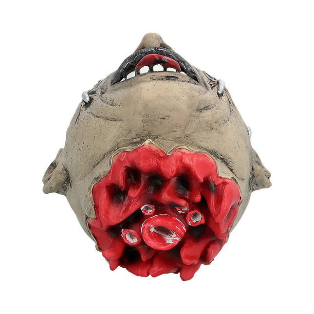 Halloween Pop Hoofd Gemartelde van Boland koop je bij Partywinkel