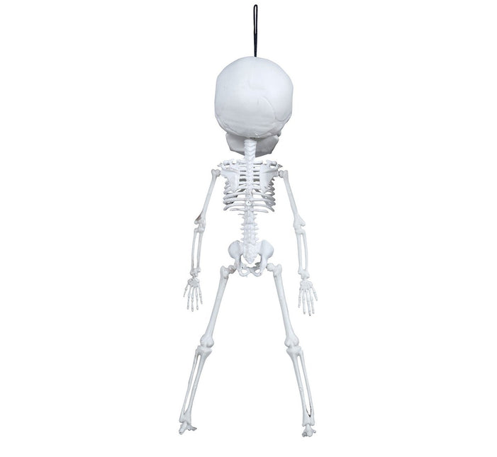Halloween Hangdecoratie Skelet 40cm van Fiestas Guirca koop je bij Partywinkel