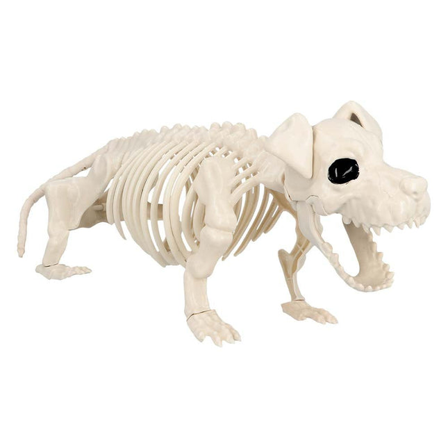 Halloween Hondenskelet 52cm van Boland koop je bij Partywinkel