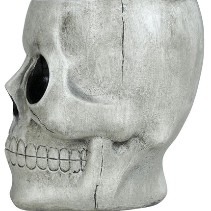 Halloween Kom Schedel 15cm van Fiestas Guirca koop je bij Partywinkel