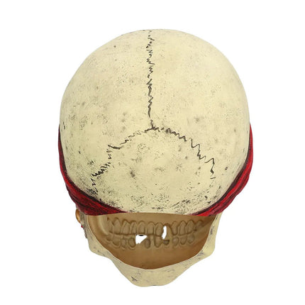 Halloween Masker Schedel Piraat van Boland koop je bij Partywinkel