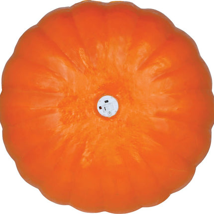 Halloween Pompoen Met Licht 45cm van Fiestas Guirca koop je bij Partywinkel