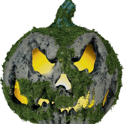 Halloween Pompoen Mos Met Licht 20cm van Fiestas Guirca koop je bij Partywinkel
