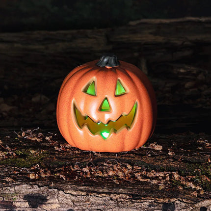 Halloween Pompoen Oranje 20cm van Boland koop je bij Partywinkel