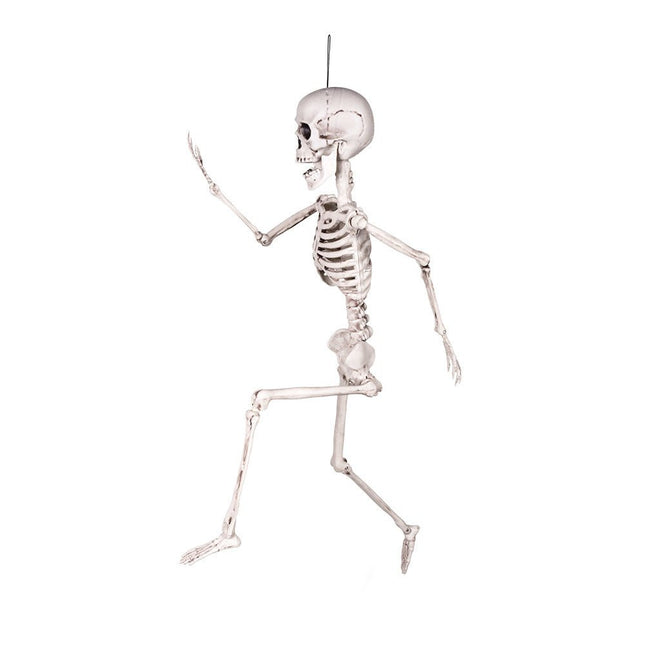 Halloween Pop Skelet Beweegbaar 60cm van Boland koop je bij Partywinkel