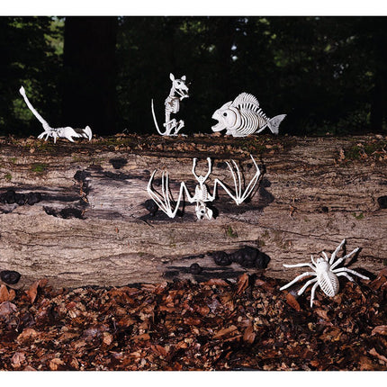 Halloween Rattenskelet 18cm van Boland koop je bij Partywinkel