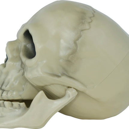 Halloween Schedel 13cm van Fiestas Guirca koop je bij Partywinkel