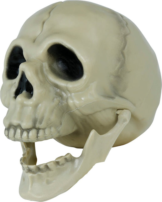 Halloween Schedel 13cm van Fiestas Guirca koop je bij Partywinkel
