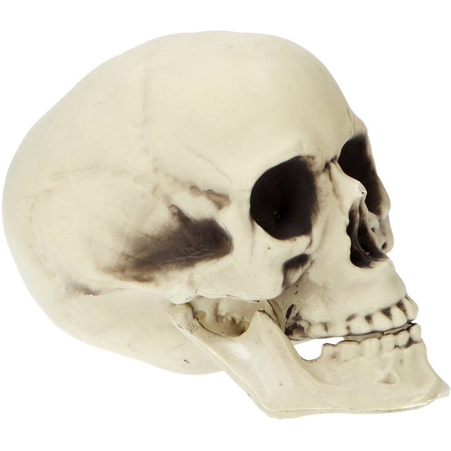 Halloween Schedel 19cm van Folat koop je bij Partywinkel
