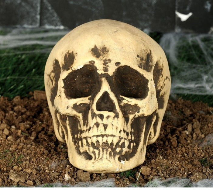 Halloween Schedel 22cm van Fiestas Guirca koop je bij Partywinkel