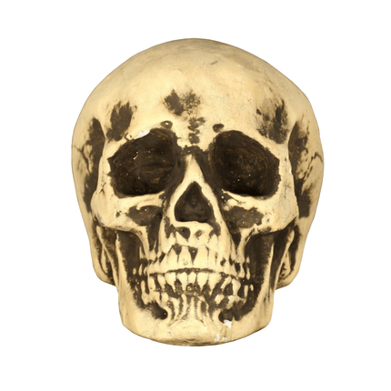 Halloween Schedel 22cm van Fiestas Guirca koop je bij Partywinkel