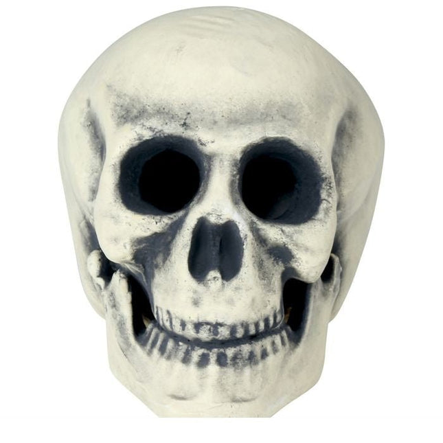 Halloween Schedel 32cm van Fiestas Guirca koop je bij Partywinkel