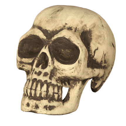 Halloween Schedel 32cm van Fiestas Guirca koop je bij Partywinkel