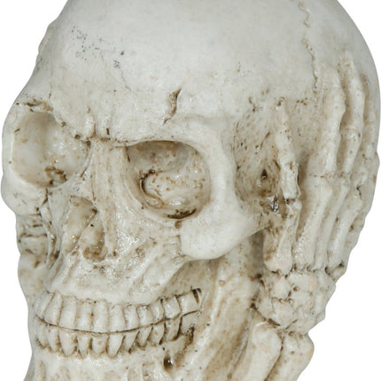 Halloween Schedel 6cm van Fiestas Guirca koop je bij Partywinkel