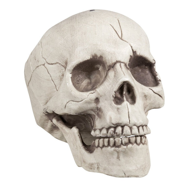 Halloween Schedel Beweegbare Kaak 21cm van Boland koop je bij Partywinkel