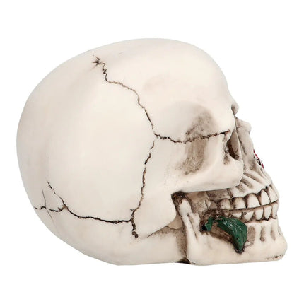 Halloween Schedel Casanova 13,5cm van Boland koop je bij Partywinkel