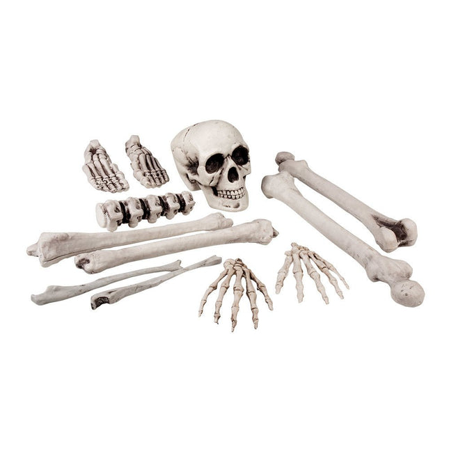 Halloween Skelet 12 delig van Boland koop je bij Partywinkel