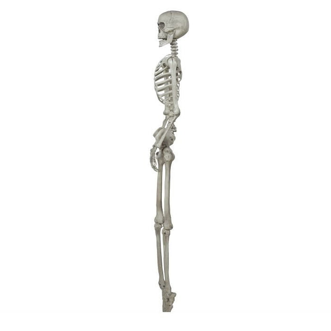 Halloween Skelet 1,6m van Fiestas Guirca koop je bij Partywinkel