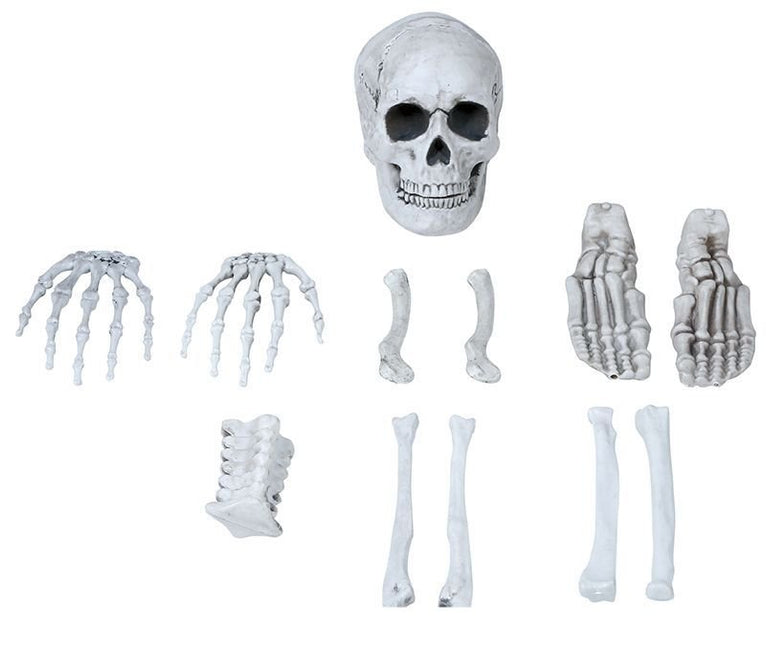 Halloween Skelet van Fiestas Guirca koop je bij Partywinkel