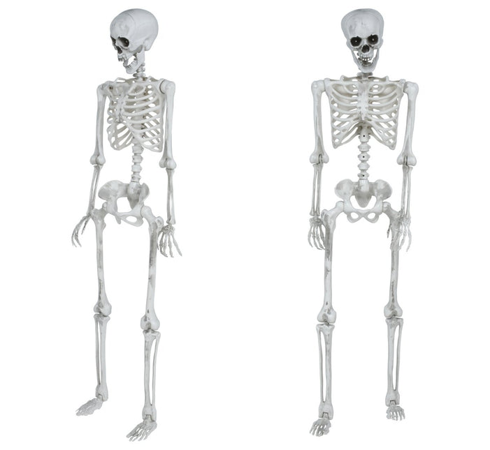 Halloween Skelet Beweegbaar 1,4m van Fiestas Guirca koop je bij Partywinkel