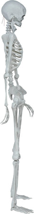Halloween Skelet Beweegbaar 1,4m van Fiestas Guirca koop je bij Partywinkel