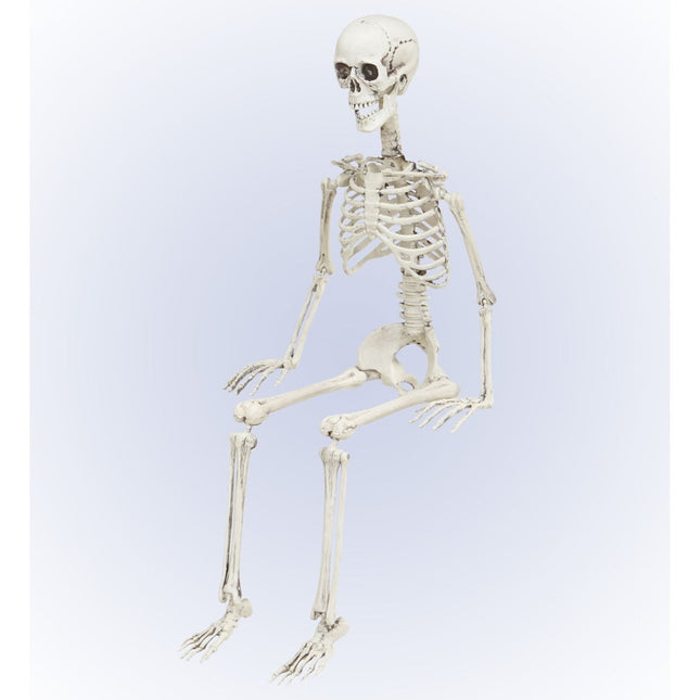 Halloween Skelet Beweegbaar 90cm van Widmann koop je bij Partywinkel